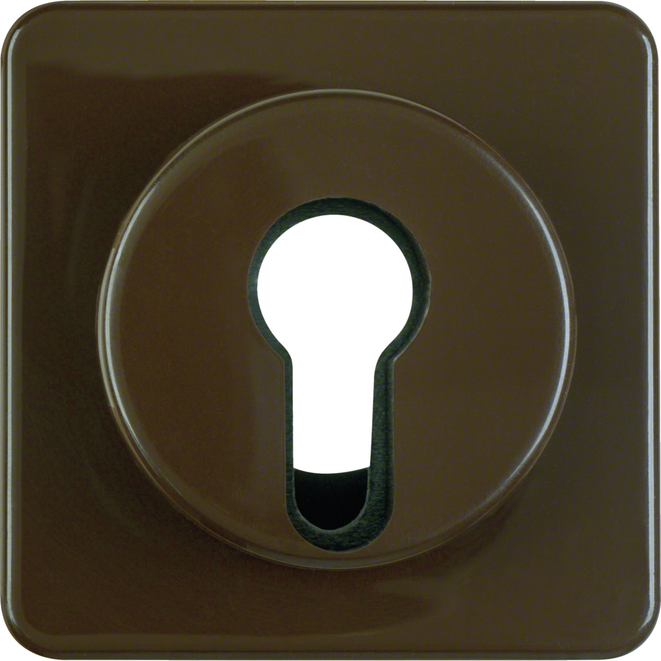 HAGER BOCCHIOTTI - Pezzo centrale per interruttore/pulsante a chiave wg UP IP44 marrone lucido
