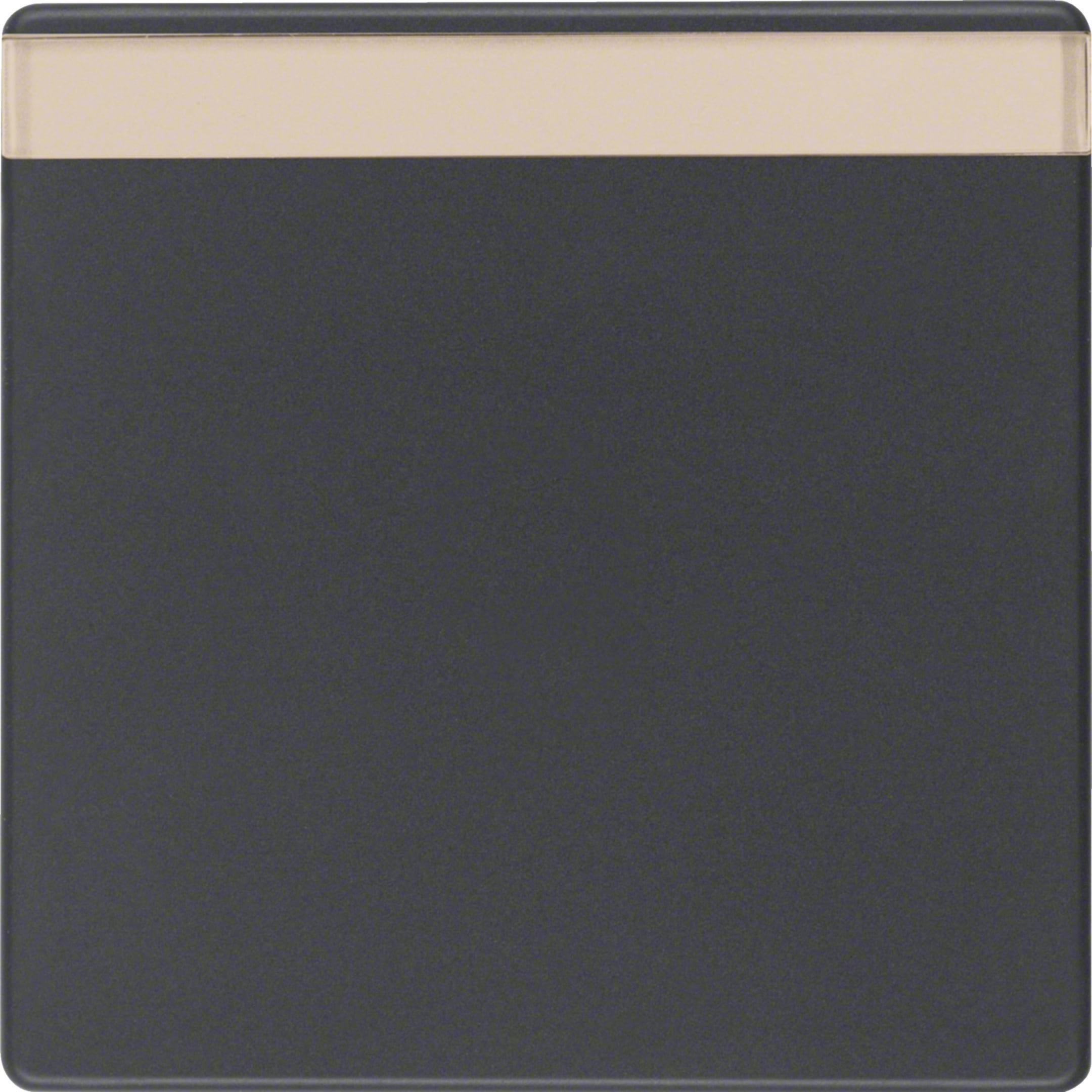 HAGER BOCCHIOTTI - Bilanciere con portaetichetta Berker Q.1/Q.3 antracite velluto, verniciato