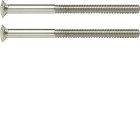 HAGER BOCCHIOTTI - Viti a due fori 2 x M3,5 x 50 mm Berker TS acciaio inox opaco, nichel spazzolato