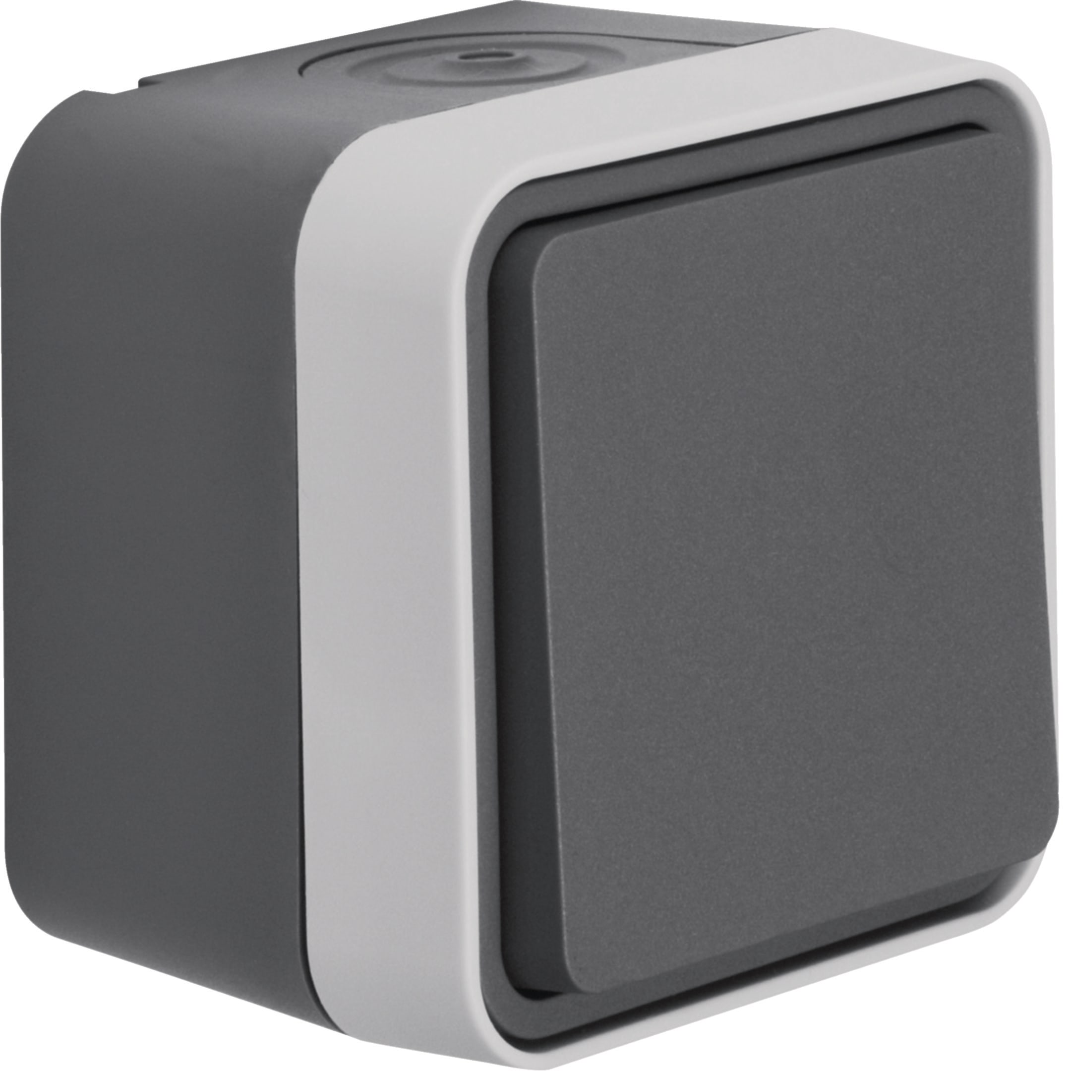 HAGER BOCCHIOTTI - Pulsante, contatto NA di chiusura Berker W.1 grigio/grigio chiaro opaco