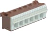 Miniatura Immagine principale 1