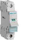 HAGER BOCCHIOTTI - Interruttore non automatico 1 P 40 A 230 V AC 1 modulo DIN