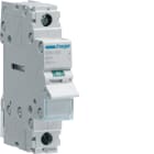 HAGER BOCCHIOTTI - Interruttore non automatico 1 P 80 A 230 V AC 1 modulo DIN