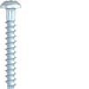 Miniatura Immagine principale 1