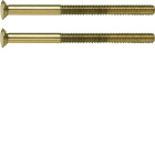HAGER BOCCHIOTTI - VITI 2 X M35 X 50 MM TS ORO 24 CAR GALV.