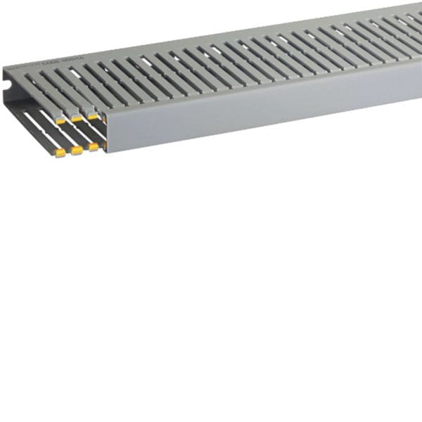 HAGER BOCCHIOTTI - T1-EN 25x100 G Canaletta con coestruso morbido modulo 10 feritoia 4 GRIGIO B00846