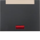 HAGER BOCCHIOTTI - Bilanciere con lente e portaetichetta Berker K.1 antracite opaco, verniciato 14157106