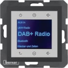 HAGER BOCCHIOTTI - Radio Touch DAB+, S.1/B.x antracite opaco 29841606