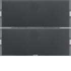 HAGER BOCCHIOTTI - Sensore a tasti doppio con LED RGB, sonda temp. e portaetich. KNX - K.1 antracit 80162776