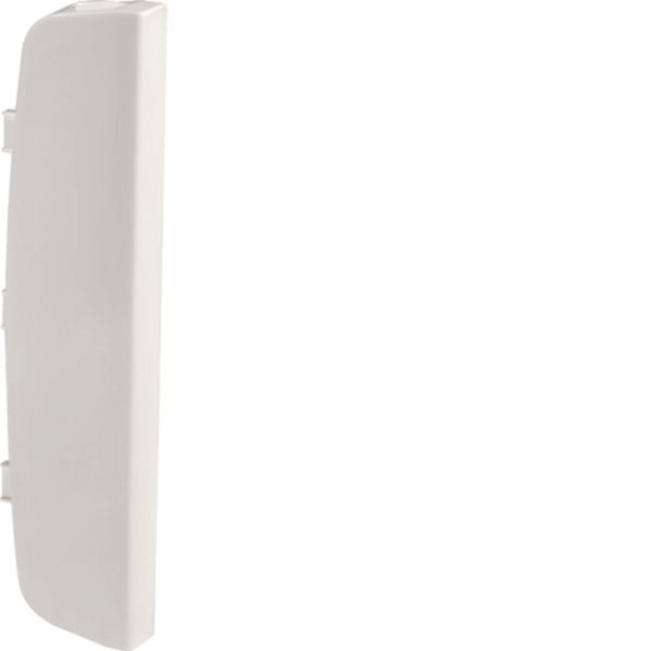 HAGER BOCCHIOTTI - Tappo terminale scatole autoportanti Pepita TBA-Art bianco TPT SBA AP W B04295