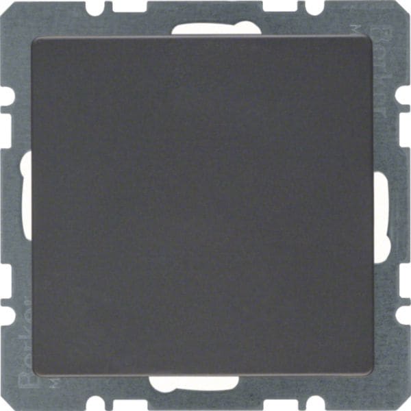 HAGER BOCCHIOTTI - Inserto cieco con pezzo centrale Berker Q.1/Q.3 antracite velluto, verniciato 10096086