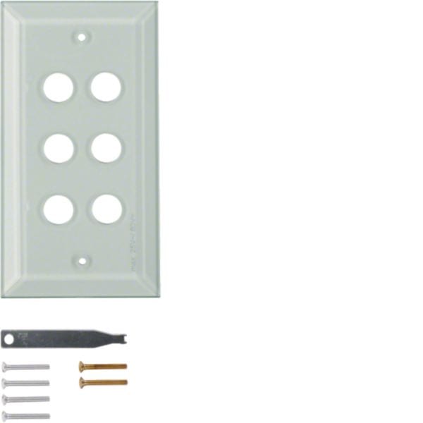 HAGER BOCCHIOTTI - Placca in vetro sestupla con smusso Berker TS chiaro lucido 1366