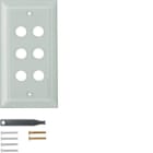 HAGER BOCCHIOTTI - Placca in vetro sestupla con smusso Berker TS chiaro lucido 1366