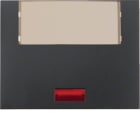 HAGER BOCCHIOTTI - Bilanciere con lente e grande portaetich. Berker K.1 antracite opaco, vernic. 14967006