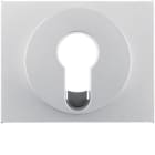 HAGER BOCCHIOTTI - Pezzo c.le x interruttore/pulsante a chiave Berker K.5 alu opaco, verniciato