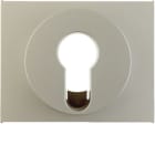 HAGER BOCCHIOTTI - Pezzo c.le x interruttore/Puls. a chiave Serie K.5 acciaio inox opaco, vern.