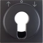 HAGER BOCCHIOTTI - Pezzo c.le x interruttore tapparella a chiave Berker S.1 IP44 antracite opaco