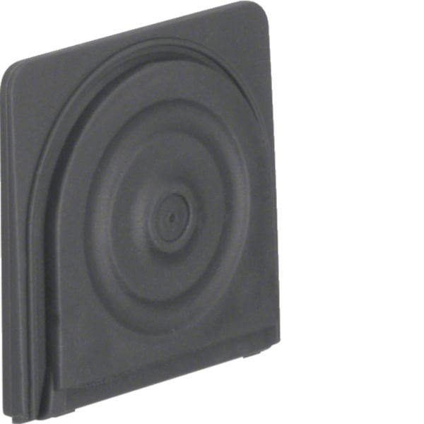 HAGER BOCCHIOTTI - Invito cavo e tubo Berker W.1 grigio opaco 18143515