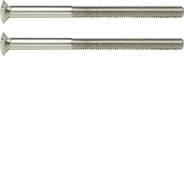 HAGER BOCCHIOTTI - Viti a due fori 2 x M3,5 x 50 mm Berker TS acciaio inox opaco, nichel spazzolato 189513