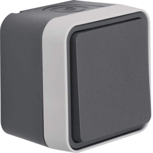 HAGER BOCCHIOTTI - Pulsante, contatto NA di chiusura Berker W.1 grigio/grigio chiaro opaco 50453525