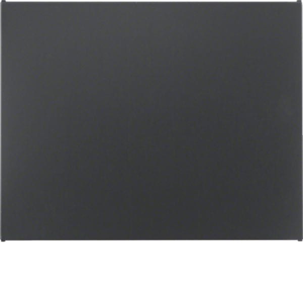 HAGER BOCCHIOTTI - Inserto cieco per accoppiatore bus KNX?Berker K.1 antracite opaco, verniciato 75940275