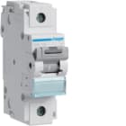 HAGER BOCCHIOTTI - Interruttore automatico magnetotermico 15000A 15kA 1P curva C 100A 1.5M