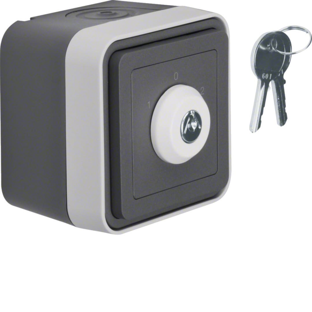 HAGER BOCCHIOTTI - COMM.CHIAVE INGR.SEPAR.W1 GRI/GRIG OP WNC036