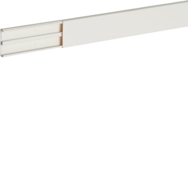 HAGER BOCCHIOTTI - Minicanale 2 scomparti con coperchio standard bianco TMC 40/2x10 W