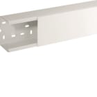 HAGER BOCCHIOTTI - Canale porta apparecchi e porta cavi bianco completo di coperchio TA-N 100x80 W