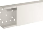 HAGER BOCCHIOTTI - Canale porta apparecchi e porta cavi bianco completo di coperchio TA-N 150x80 W