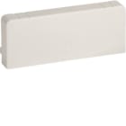 HAGER BOCCHIOTTI - LAN 100x40 W Terminale per canali linee TA-N/TA-EN/TA-GN BIANCO