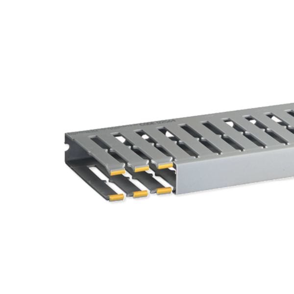 HAGER BOCCHIOTTI - T1-N 25x100 G Canaletta con coestruso morbido modulo 20 feritoia 8 GRIGIO