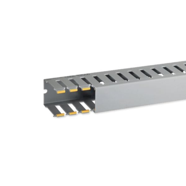 HAGER BOCCHIOTTI - Canaletta con coestruso morbido modulo 20 feritoia 8 grigio T1-N 40x60 G