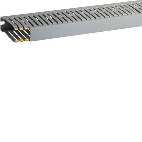 HAGER BOCCHIOTTI - T1-EN 25x80 G Canaletta con coestruso morbido modulo 10 feritoia 4 GRIGIO