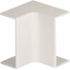 Miniatura Immagine principale 1