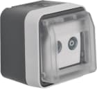 HAGER BOCCHIOTTI - Presa TV doppia terminale + coperch a parete Serie W.1 grigio/grigio chiaro opac