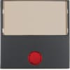 Miniatura Immagine principale 1