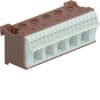 Miniatura Immagine principale 1