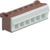 Miniatura Immagine principale 1