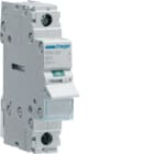HAGER BOCCHIOTTI - Interruttore non automatico 1 P 80 A 230 V AC 1 modulo DIN