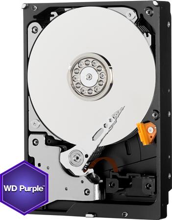 HIKVISION - WD20PURZ HDD PER VIDEO 2TB 303800455