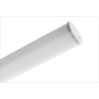 IDEALLUX - INNOVA 1200 O 52W 9030LM 4000K CAE