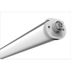 IDEALLUX - ZITA 5P 19 5W 3000LM 3000K DALI