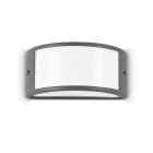 IDEAL LUX - REX-1 AP1 ANTRACITE