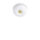 IDEAL LUX - ARIZONA PL2