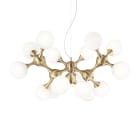 IDEAL LUX - NODI SP15 OTTONE