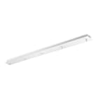 IDEAL LUX - ROSONE LINEARE 5 LUCI BIANCO