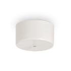 IDEAL LUX - MAPA ROSONE SP1 G4 BIANCO