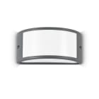 IDEAL LUX - REX-1 AP1 ANTRACITE