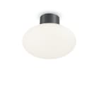IDEAL LUX - CLIO MPL1 ANTRACITE